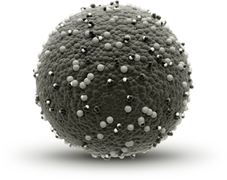 Measles virus image